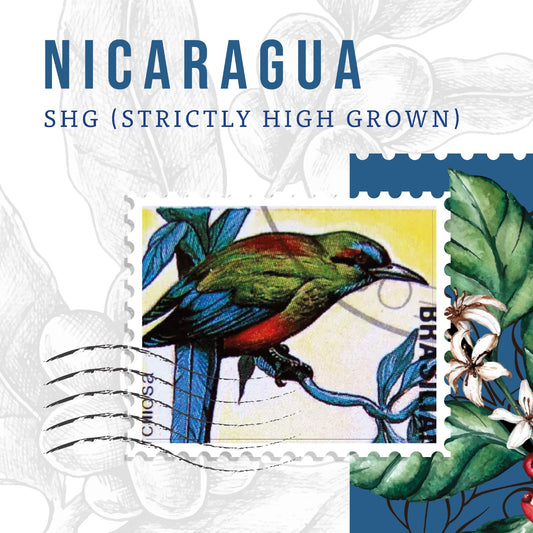 Nicaragua Coffee Beans – Rich & Smooth Coffee | First Crack Lebanon