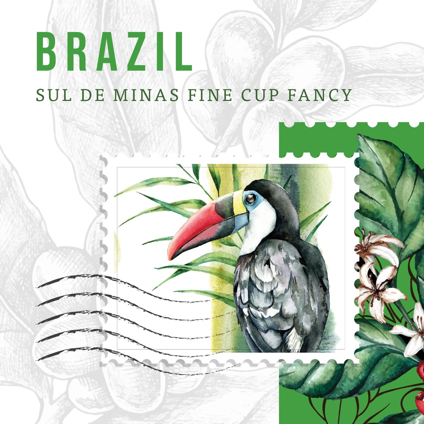 Brazil Coffee Beans – Strong Espresso Coffee | First Crack Lebanon