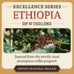 🇪🇹 Cup of Excellence #3 Ethiopia – East Guji (90.37)