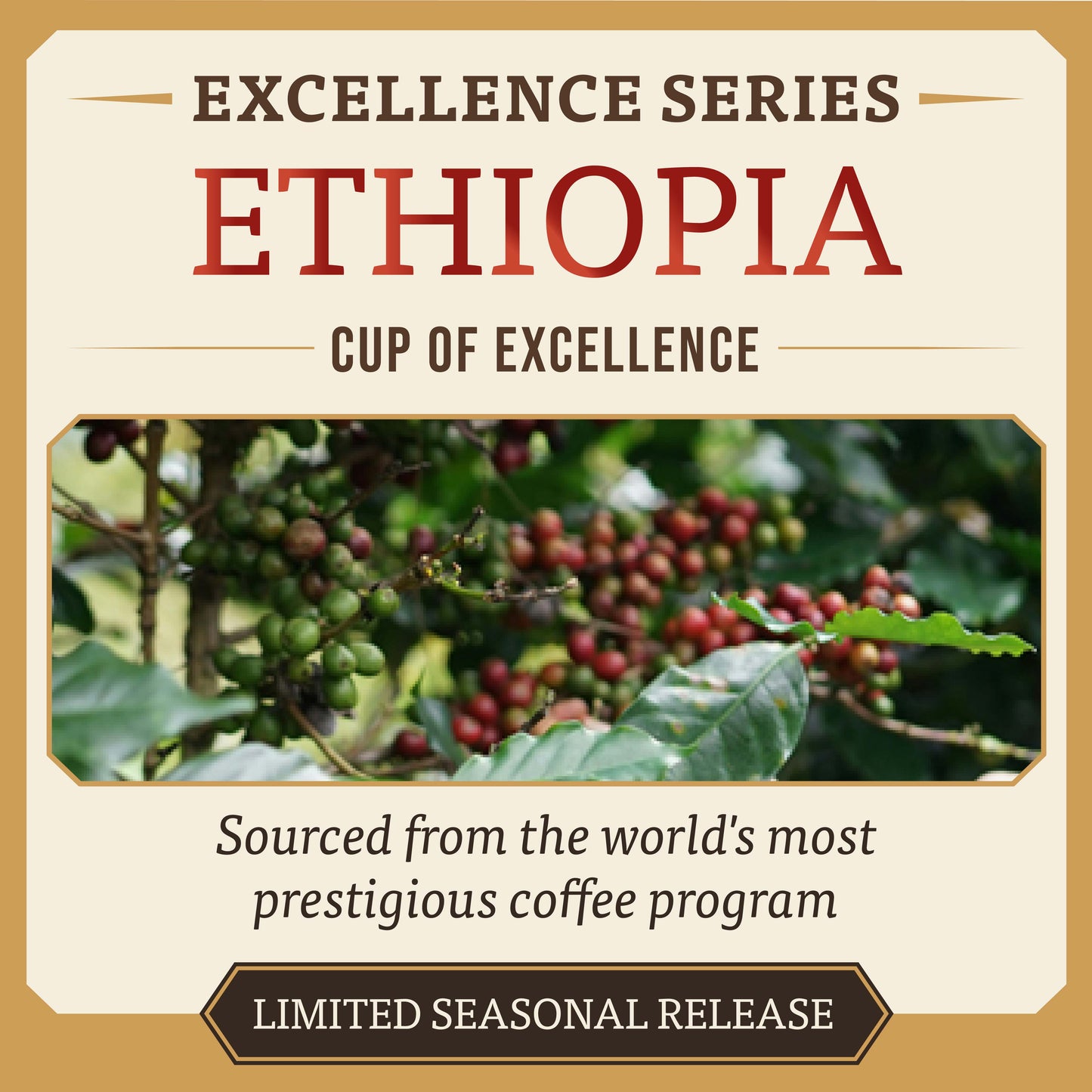 🇪🇹 Cup of Excellence #3 Ethiopia – East Guji (90.37)