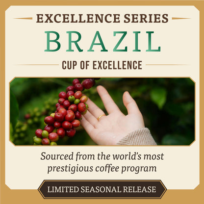 🇧🇷 Cup of Excellence #4 Brazil – Chapada Diamantina (89.18)  A Rare Competition Coffee – Limited to 2 Bags in Lebanon