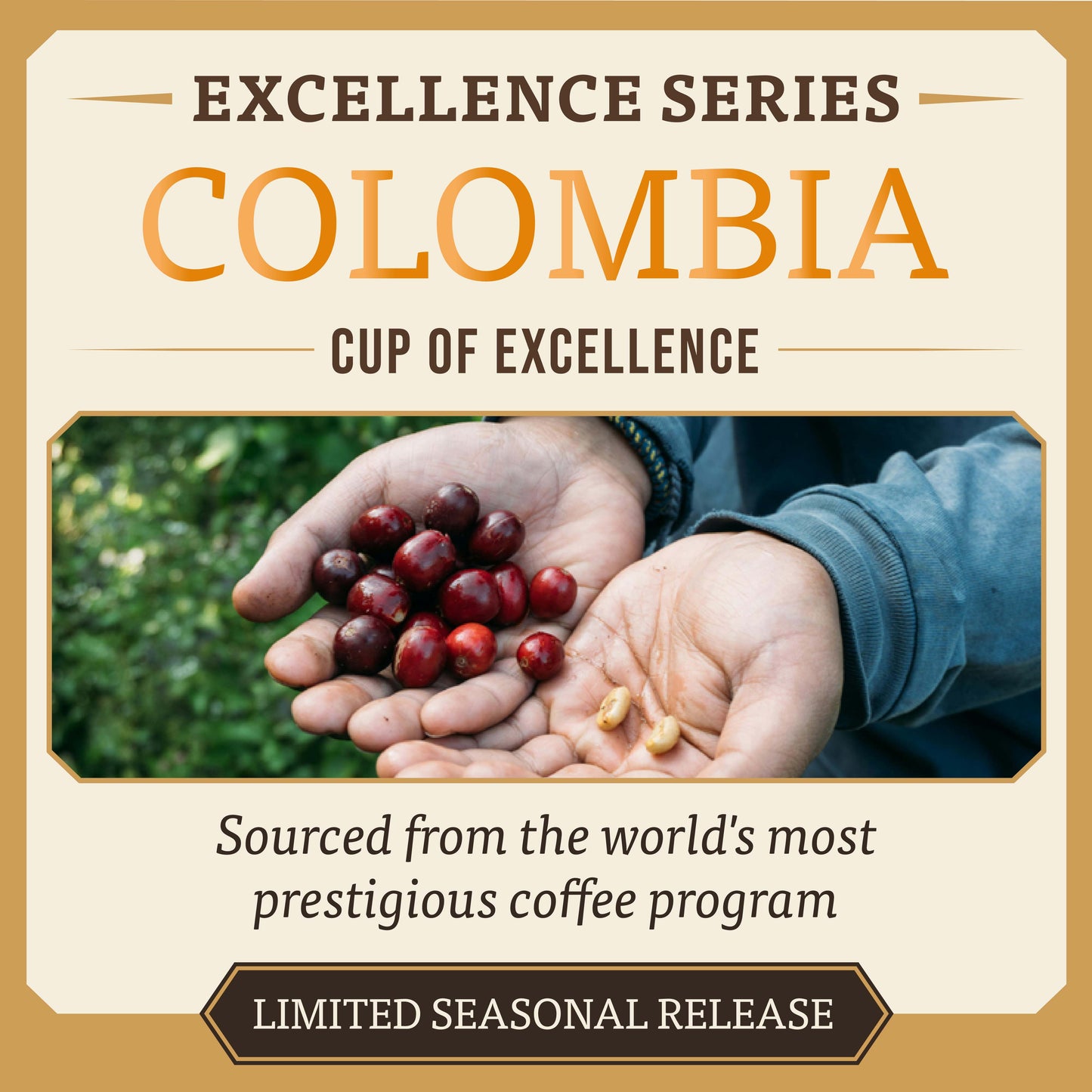 Cup of Excellence Colombia Geisha