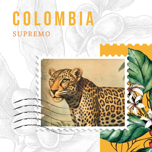 Colombia Coffee Beans – Balanced Specialty Coffee | First Crack Lebanon