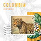 Colombia Coffee Beans – Balanced Specialty Coffee | First Crack Lebanon