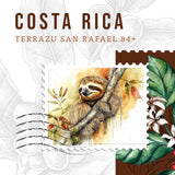 Costa Rica Coffee Beans – Clean & Balanced Coffee | First Crack Lebanon