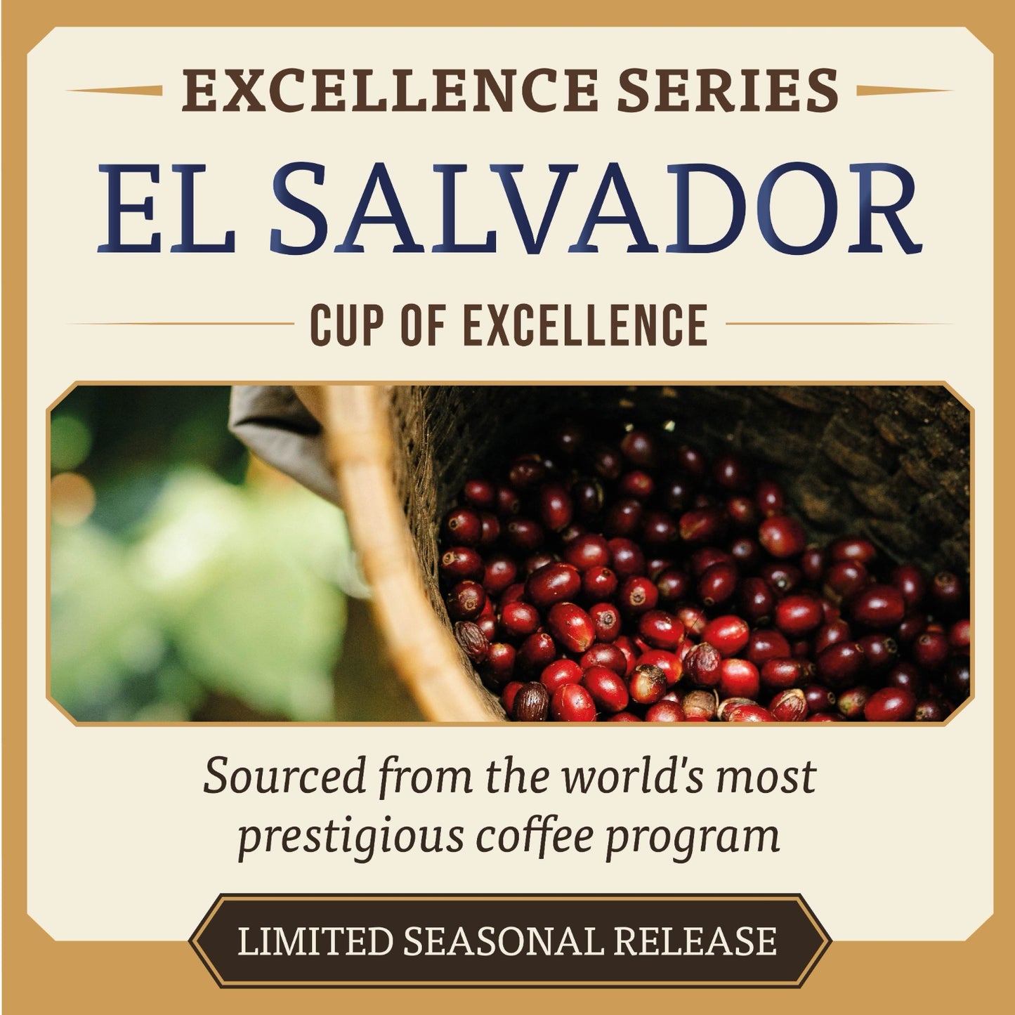Cup of Excellence El Salvador — Limited Seasonal Release