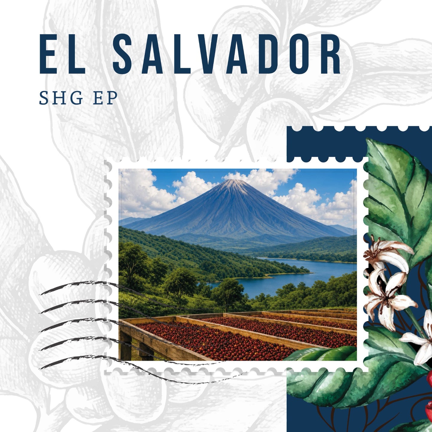 El Salvador SHG EP — Specialty Single Origin