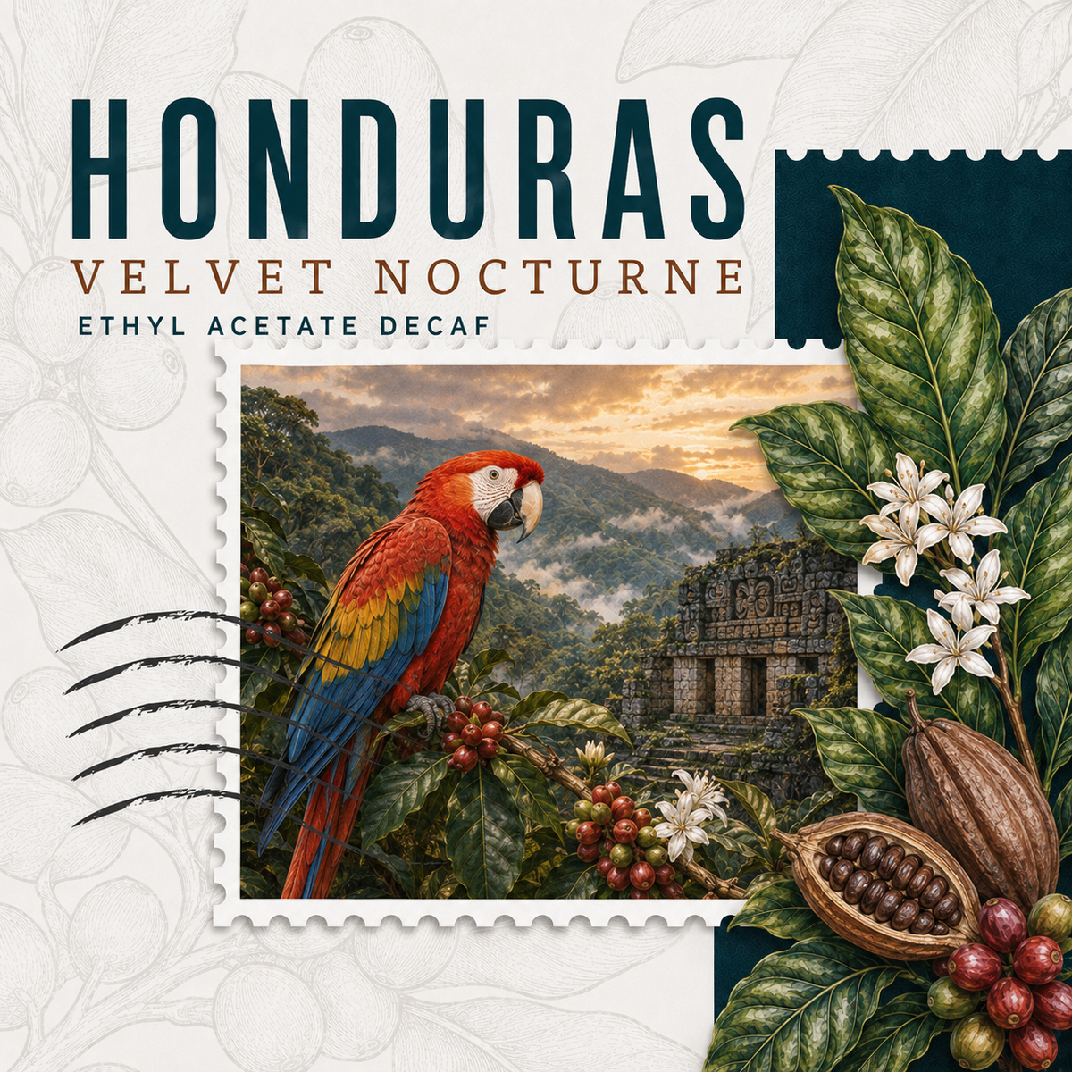 Honduras Velvet Nocturne — Ethyl Acetate Decaf Coffee