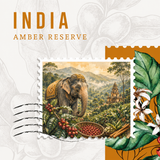 India Amber Reserve – Washed Arabica Coffee
