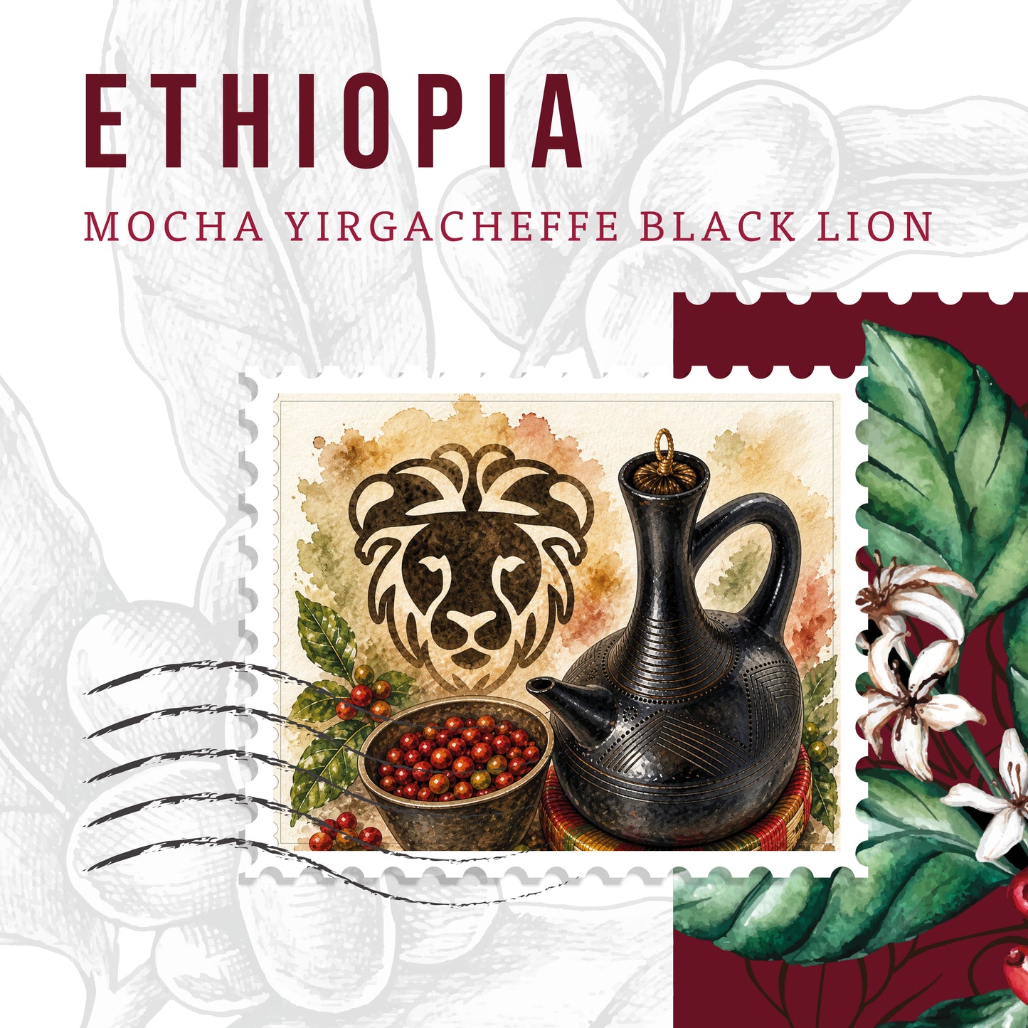 Ethiopia Mocha Yirgacheffe G1 – Black Lion
