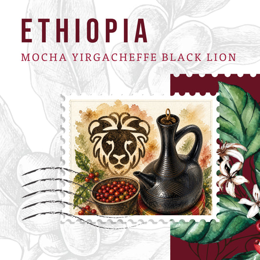 Ethiopia Mocha Yirgacheffe G1 – Black Lion