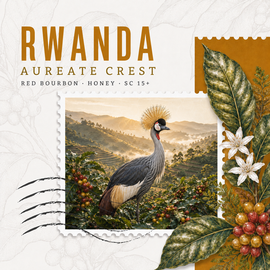 Rwanda Aureate Crest — Red Bourbon Honey Coffee