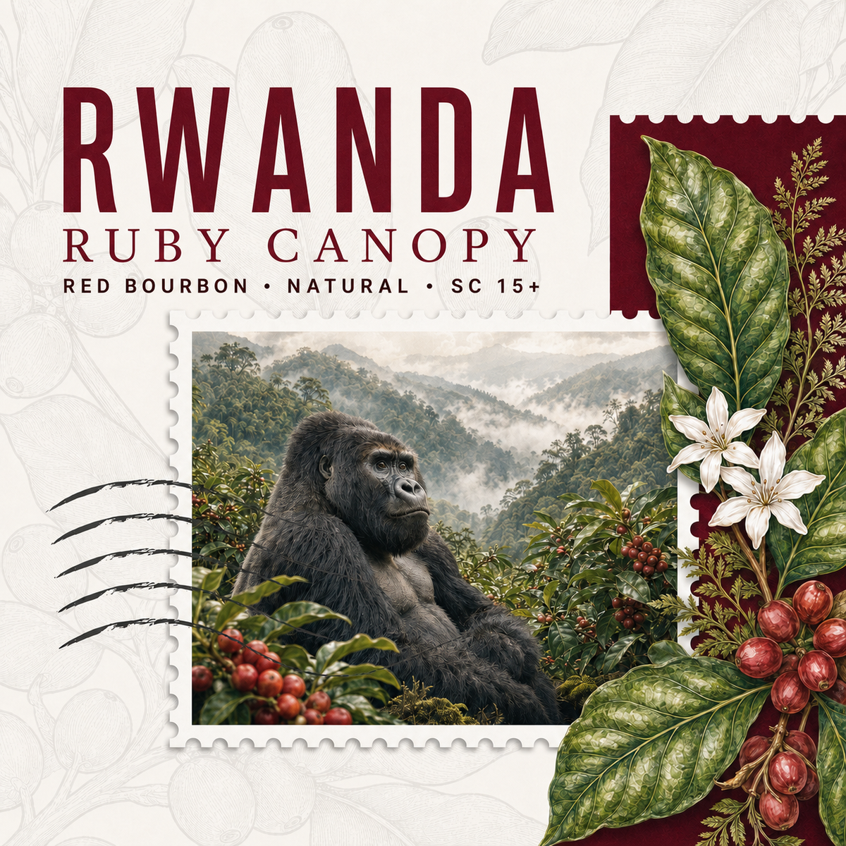 Rwanda Ruby Canopy — Red Bourbon Natural Coffee
