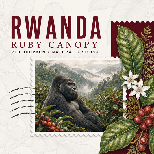 Rwanda Ruby Canopy — Red Bourbon Natural Coffee