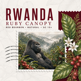 Rwanda Ruby Canopy — Red Bourbon Natural Coffee