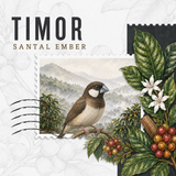 Timor Sental Ember