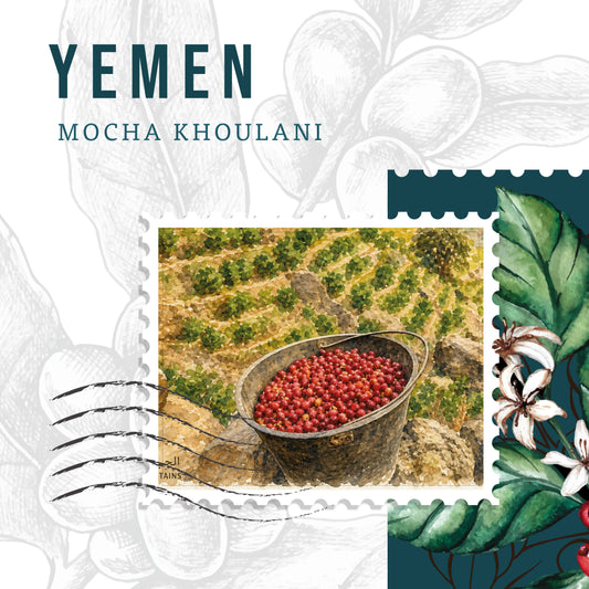 Yemen Mocha Khoulani Coffee – Rare Arabian Specialty | Limited in Lebanon